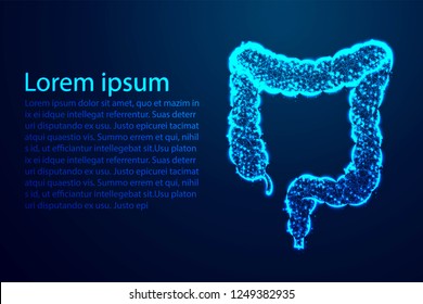 colon, intestine, digestive system, Human Anatomy. Abstract low poly, Triangle, dot, line, polygon. Shine blue background, Vector illustration