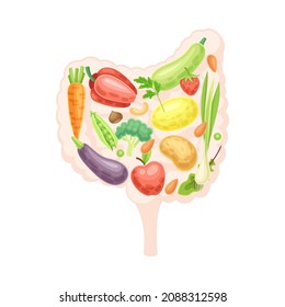 Colon or large intestine with fruit and vegerables. Healthy human internal organ vector illustration
