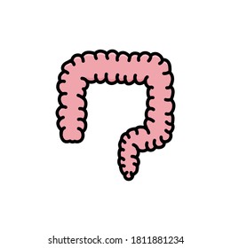 colon vector design template illustration