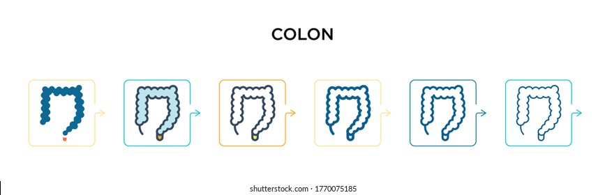 Colon vector icon in 6 different modern styles. Black, two colored colon icons designed in filled, outline, line and stroke style. Vector illustration can be used for web, mobile, ui