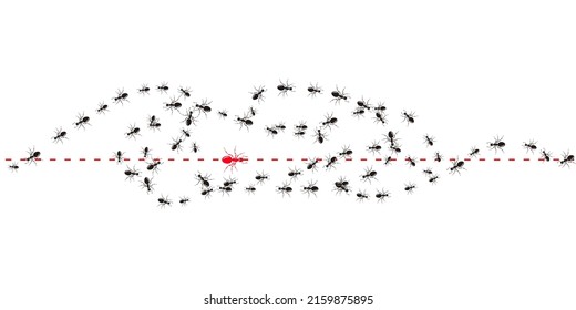 Colony ant. Workers ants marching, one ant changing direction. Be yourself, think differently concept. Going out of line, innovation, unique, leadership, different way, new idea. Seamless vector