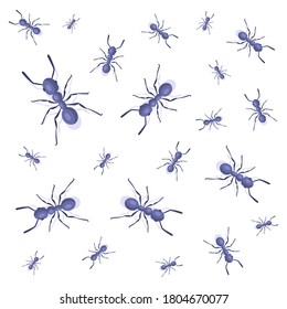 colony of ants on a white background. insect pests. flat vector illustration.