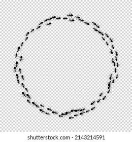 Colony ants. Round pattern insects ant on transparent. Workers ants marching, teamwork. Insects in flat style. Design for social media, blog post, print,, wall ar, wallpaper. Vector illustration