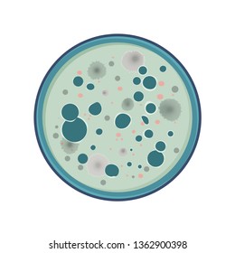 Colony of bacteria, fungus growth in petry dish, flat style, vector illustration