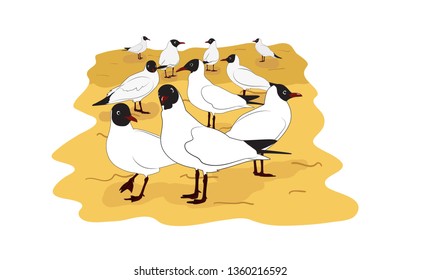 ユリカモメ のベクター画像素材 画像 ベクターアート Shutterstock