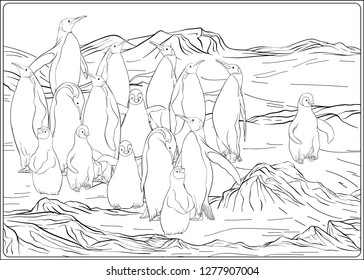 A colony of emperor penguins on the Antarctic coast. Outline hand drawing vector illustration. Coloring page for the adult coloring book.