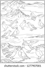 A colony of puffins on the Atctic coast. Outline hand drawing vector illustration. Coloring page for the adult coloring book.