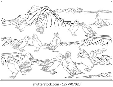 A colony of puffins on the Atctic coast. Outline hand drawing vector illustration. Coloring page for the adult coloring book.