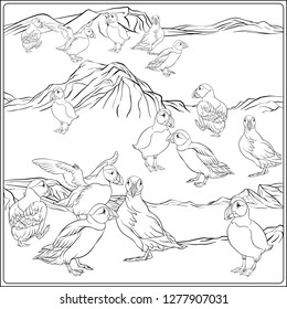 A colony of puffins on the Atctic coast. Outline hand drawing vector illustration. Coloring page for the adult coloring book.