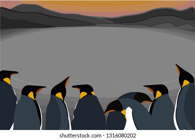 A colony of royal penguins on the shore of blue water, against the backdrop of the mountains, the sunset South Sandwich Islands, Antarctica - Vector graphics - illustration.