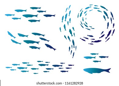 Colony of swiming sea or aquarium fishes. Group of color silhouettes . Collection of isolated vector decoration.