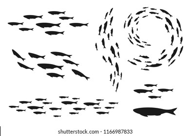 Colony of swiming sea or aquarium fishes. Group of silhouettes . Collection of isolated vector decoration.