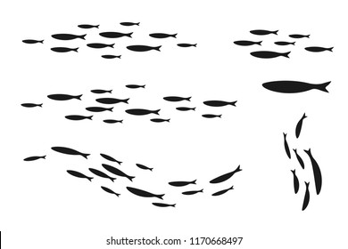 Colony of swiming sea or aquarium fishes. Group of silhouettes . Collection of isolated vector decoration.