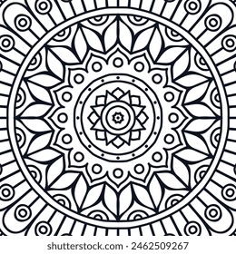 color abstract mandala flower design vector