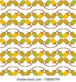 color acorn pattern