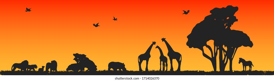 Color African Safari animal - lion, zebra, hippo, giraffe silhouettes landscape background illustration vector, panorama sunset