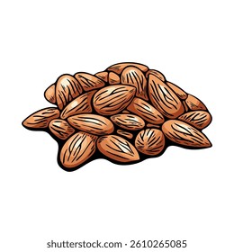 Color almond vector isolated on white with realistic sketch style