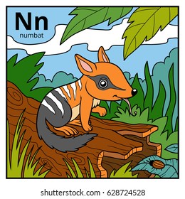 Color alphabet for children, letter N (numbat)