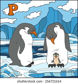 Color alphabet for children: letter P (penguin)