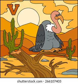 Color alphabet for children: letter V (vulture)