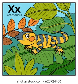 Color alphabet for children, letter X (xenosaurus)