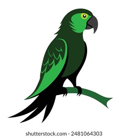 color amazon parrots birds vector file 
