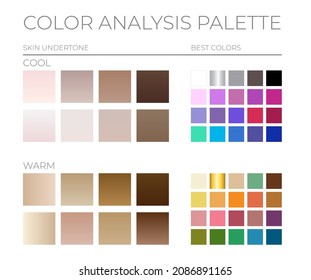 Color Analysis Palette by Cool and Warm Skin Tones and the Best Color Swatches