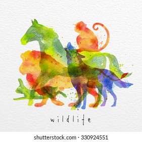 Color animals ,horse, wolf, monkey, lion, rabbit, drawing overprint on watercolor paper background lettering wildlife