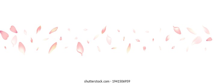 Color Apple Petal Vector White Background. White Springtime Lotus Petal Pattern. Cherry Petal Fresh Cover. Blossom Sakura Petal Template.