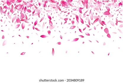 Color de fondo blanco del vector Petal de Apple. Tarjeta Petal De Flor Rosa Caída. Textura floral de Rose Petal. 3.ª Funda De Petal Sakura.