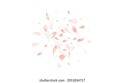 Color Apple Petal Vector White Background. White Bright Peach Petal Pattern. Lotus Petal Japanese Frame. Soft Cherry Petal Poster.