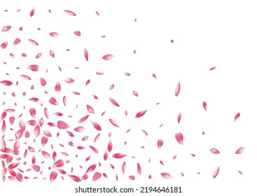 Color Apple Petal Vector White Background. Pink Fly Rose Petal Backdrop. Sakura Petal Free Product. Spring Cherry Petal Pattern.