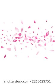 Color Apple Petal Vector White Background. Pastel Invitation Peach Petal Card. Cherry Petal Fresh Illustration. Spring Lotus Petal Template.