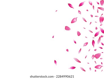 Farbiger Apfelkuchen, Vektorweißer Hintergrund. Rosa Blossom Rose Petal Muster. Lotus Petal Air Banner. Frühling Pfirsichpfirsichpfirsichpfirsiche Textur.