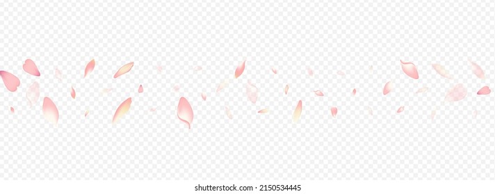 Color Apple Vector Panoramic Transparent Background. Peach Romantic Backdrop. Floral Beauty Illustration. Lotus Fall Texture. Pink Rosa Soft Design.