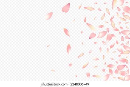 Color Apple Vector Transparent Background. Rosa Beauty Illustration. Tree Wallpaper Pattern. Flower Wedding Congratulation. Red Bloom Spa Cover.