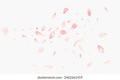 Color Apple Vector Transparent Background. Peach Marriage Backdrop. Lotus Falling Cover. Blooming Romance Template. Purple Heart Aroma Illustration.