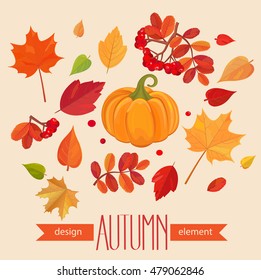 Color autumn leaves and pumpkin. Fall leaf set. Vector illustration EPS10