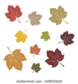 Color of Autumn Spring Fall Summer Winter Fall Maple Leaf orange gold red yellow green