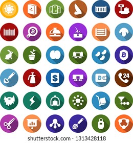 Color back flat icon set - sun vector, rabbit, mushroom, plum, baggage trolley, reception bell, luggage scales, scissors, nose, mirror, beard, depilation, storm sign, bitcoin search, shield, wallet