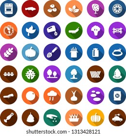 Color back flat icon set - field vector, leaf, seeds, sowing, fertilizer, milk can, fish, farm fence, hay, pumpkin, onion, orange, fruit tree, broccoli, storm cloud, spa, sproute, seedling, rain