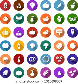 Color back flat icon set - field vector, mortar, eggs, mushroom, pumpkin, potato, onion, carrot, orange, pear, plum, corn, cheese, broccoli, shampoo, depilation, plant label, seeds