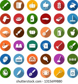 Color back flat icon set - sowing vector, mortar, milk, can, wool, steak, ham, rabbit, duck, ribs, fish, farm fence, manger, berry, pumpkin, carrot, rake, shovel, wheelbarrow, sproute, hoe, sickle