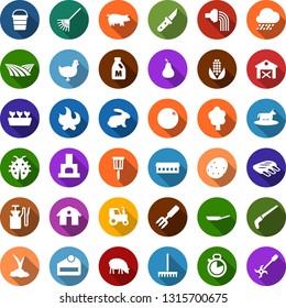 Color back flat icon set - barn vector, field, cow, milk, sheep, chicken, pig, rabbit, ribs, farm, potato, orange, pear, corn, tractor, bucket, rake, garden fork, wheelbarrow, fertilizer, tree, saw