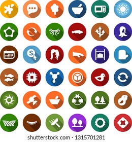 Color back flat icon set - field vector, fish, sun, luggage storage, mortar, eyelashes, woman hair, blockchain molecule, cube, scraper, splotch, tree, forest, bird, cpu, satellite, term, money click