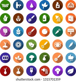 Color back flat icon set - spike vector, field, leaf, sowing, milk, mushroom, onion, carrot, orange, pear, fruit tree, corn, broccoli, watering, sproute, plant label, greenhouse, drip irrigation