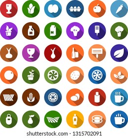 Color back flat icon set - field vector, broccoli, milk, eggs, potato, onion, carrot, orange, pear, plum, corn, hot cup, shampoo, cooling, shining window, seedling, plant label, leaf, glass bottle