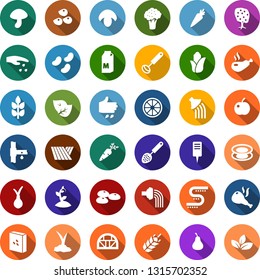 Color back flat icon set - spike vector, field, leaf, broccoli, seeds, sowing, milk, mushroom, onion, carrot, orange, pear, plum, fruit tree, corn, watering, sproute, plant label, greenhouse