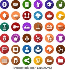 Color back flat icon set - field vector, seeds, mortar, duck, ribs, pumpkin, corn, wind, flight table, hair straightening, woman, bitcoin shield, phone, molecule, blockchain, trowel, watering can