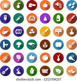 Color back flat icon set - spike vector, field, leaf, seeds, sowing, milk, mushroom, onion, carrot, orange, pear, plum, fruit tree, corn, watering, sproute, plant label, greenhouse, drip irrigation